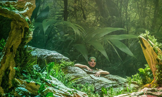 Jean-Philippe Rameau: Platée