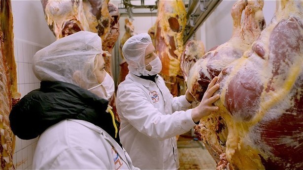 Doorgefokte krachtpatsers