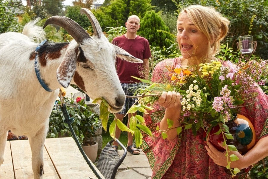 Klimaatredden voor beginners