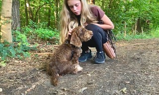 Liebste Fellnasen - Abenteuer Hundeschule