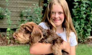 Liebste Fellnasen - Abenteuer Hundeschule