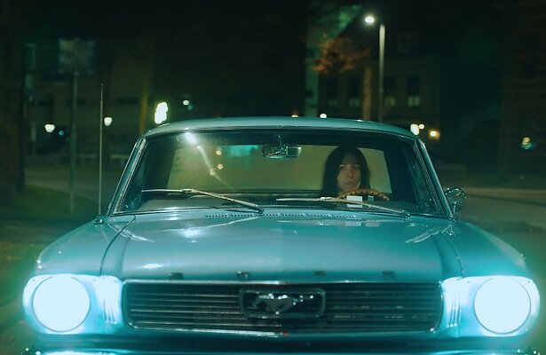 Raven van Dorst, Nachtdieren