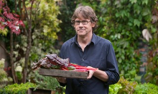 Nigel Slater's simple cooking