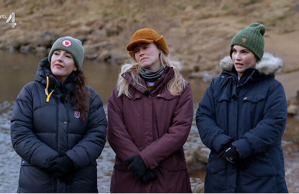 Het Perfecte Plaatje