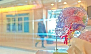 Secrets of the Brain