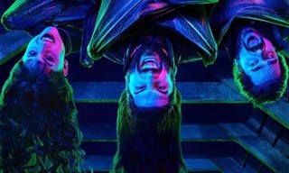 What we do in the shadows