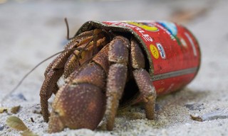 Signed: Thailand: Earth's Tropical Paradise