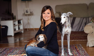 Tiere suchen ein Zuhause