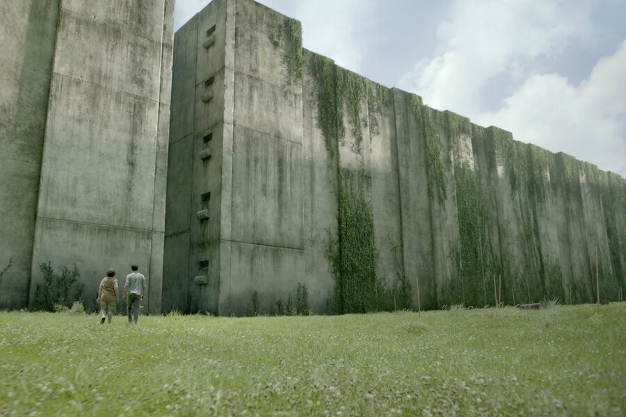 The Maze Runner