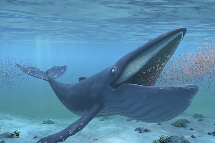 The Snail and the Whale