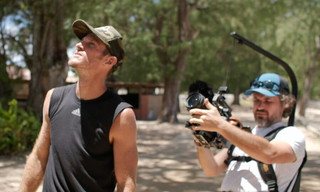 Ura, sauver l'oiseau sacré des australes