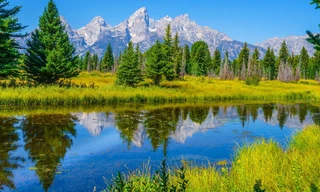 Yellowstone: Wildest winter to blazing summer