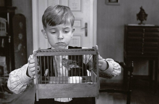 De kinderen van Stetten