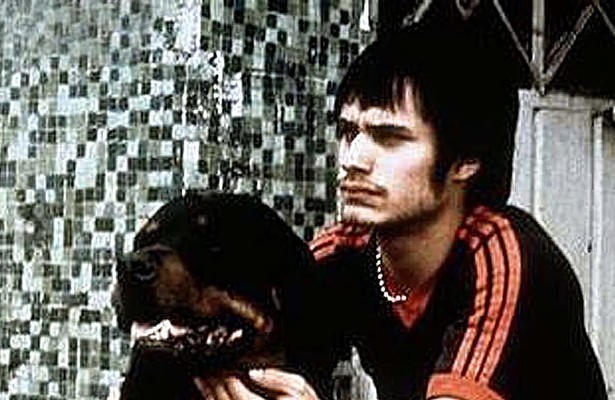 Gael García Bernal in Amores Perros