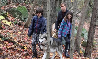 Against the Wild III: The Journey Home