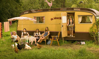 Die wilden Hühner und das Leben