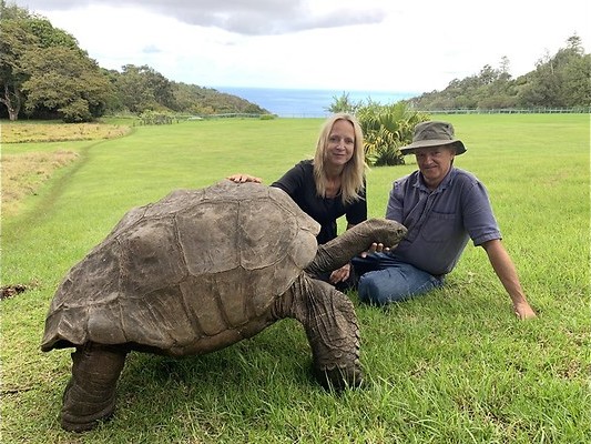 Terug naar Sint-Helena