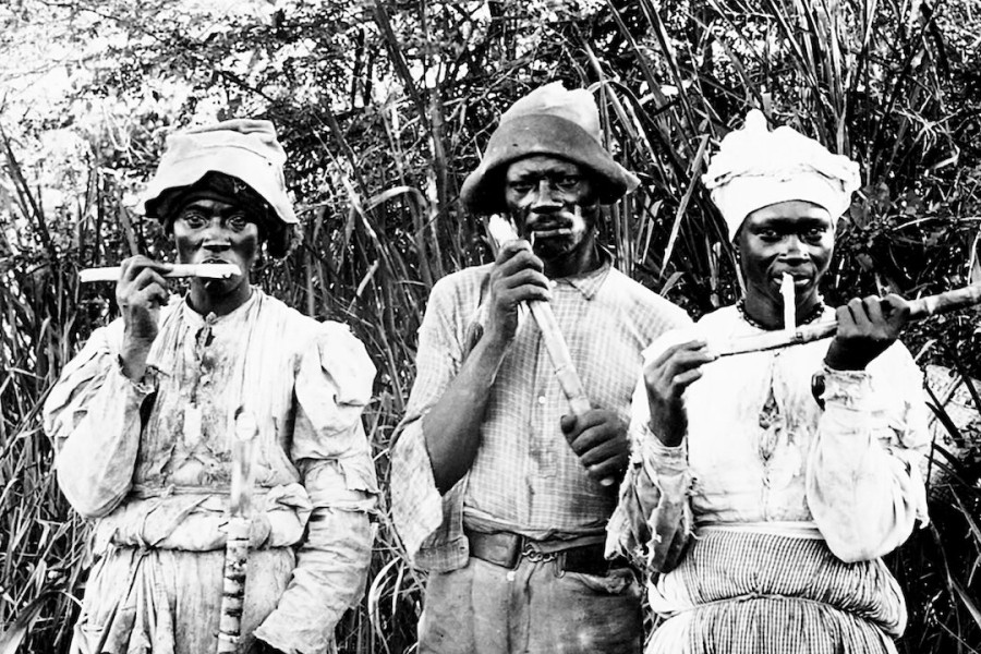 Journey of an African Colony