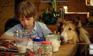 Lassie: Een Nieuw Avontuur