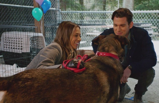 Still uit Love At First Bark