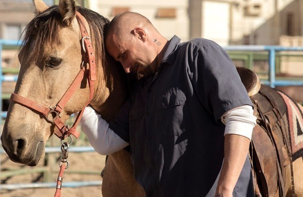 Matthias Schoenaerts als Roman in The Mustang