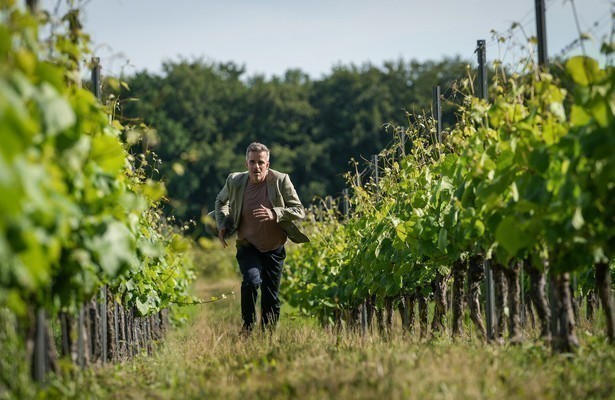 The Sommerdahl Murders