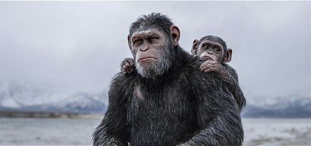 Woody Harrelson knokt met apen