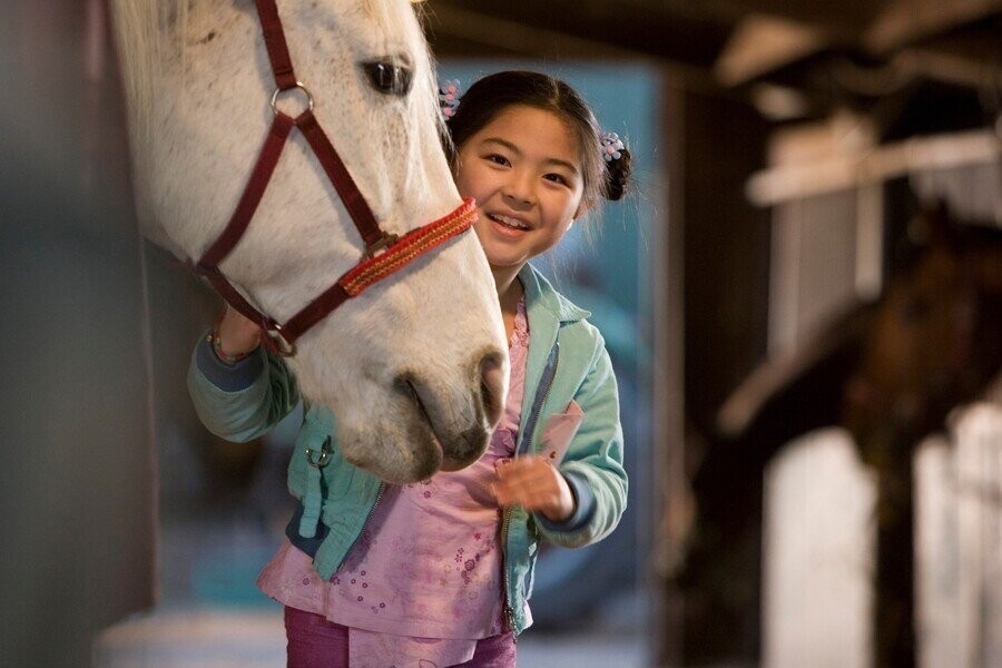 Waar is het paard van Sinterklaas?