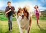 Zappbios: Lassie
