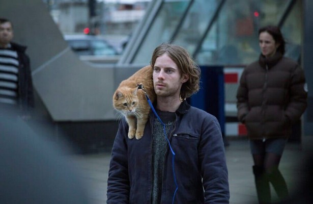 Luke Treadaway in A Street Cat Named Bob