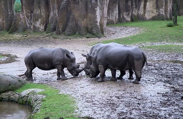 Still uit Het Echte Leven in de Dierentuin