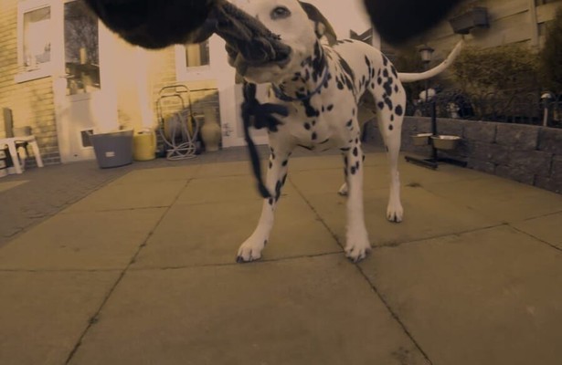 2Doc kort: And a happy new year