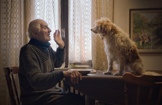 2Doc: The Truffle Hunters