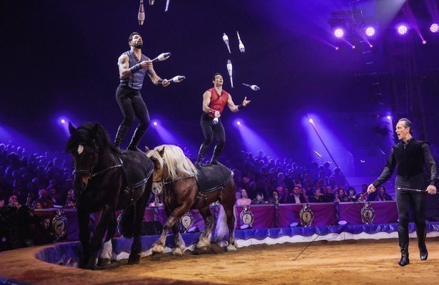 Charles en Alexandre Gruss op Circusfestival