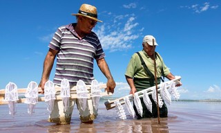 An der Costa Blanca - Spaniens weiße Küste