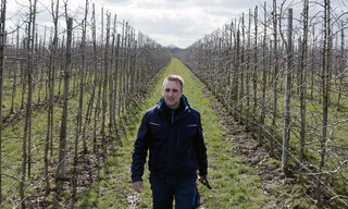 Apfelwiesen und Wildnis - Das Alte Land an der Elbe