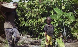 Chocolate's Heart of Darkness