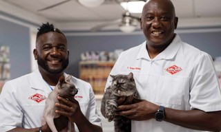 Critter Fixers: Country Vets: Cat Compilation