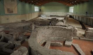 Curse of the Ancients