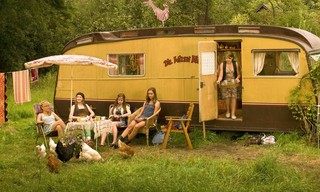 Die wilden Hühner und das Leben