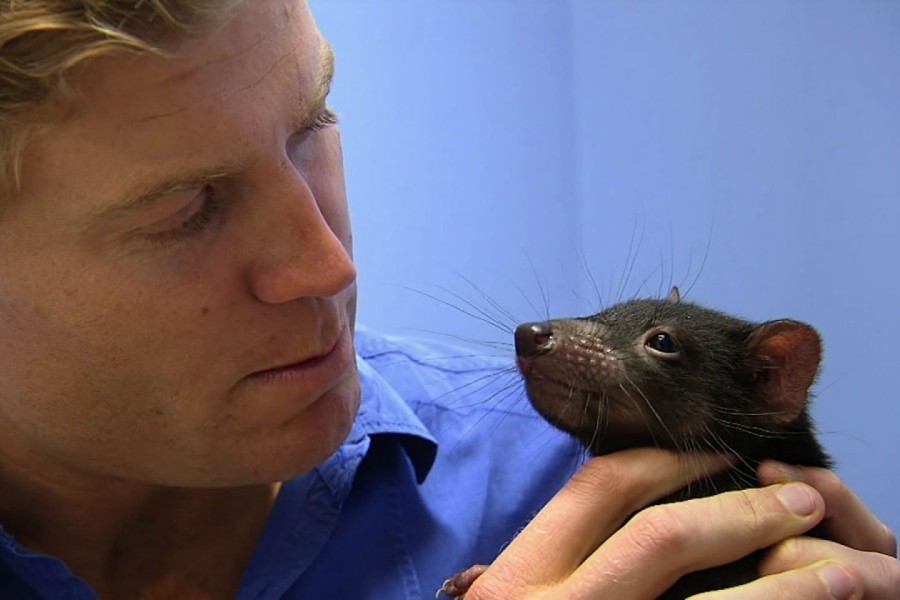 De Dierenkliniek Down Under