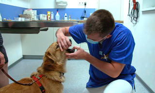 Eine Straße, viele Geschichten - Die 