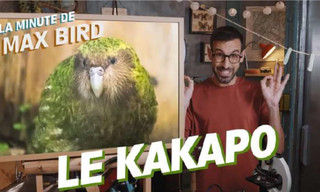 La minute de Max Bird