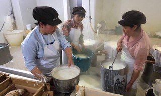 Les maîtres du tofu