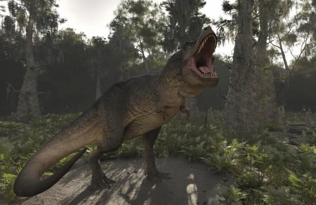 Lost Beasts: Unearthed