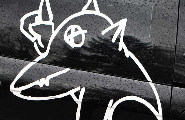 Terug van weggeweest