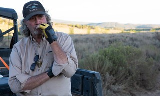 Mystery of blind frog Ranch