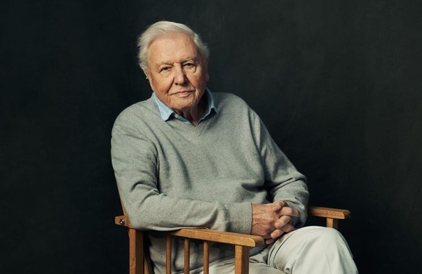 Sir David Attenborough voor Mammals