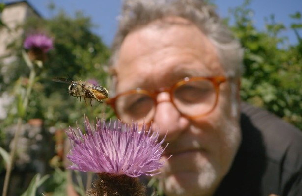 My Garden of a Thousand Bees