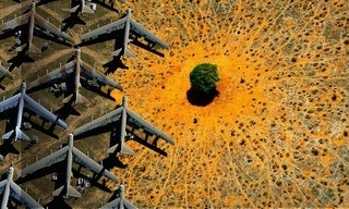 Nature: The call for reconciliation